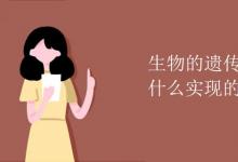 中考快訊:生物的遺傳和變異是通過(guò)什么實(shí)現(xiàn)的