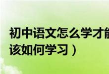 初中語文怎么學(xué)才能快速提高成績（中考語文該如何學(xué)習(xí)）