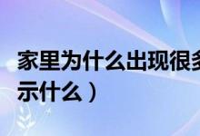 家里為什么出現(xiàn)很多小螞蟻（家里出現(xiàn)螞蟻預示什么）