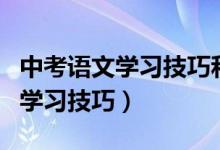 中考語文學習技巧和方法（中考語文有哪些的學習技巧）