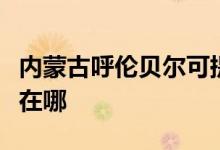 內(nèi)蒙古呼倫貝爾可提供三星手機(jī)維修服務(wù)地址在哪