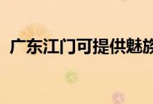 廣東江門可提供魅族手機維修服務地址在哪