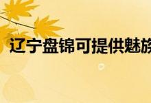 遼寧盤(pán)錦可提供魅族手機(jī)維修服務(wù)地址在哪