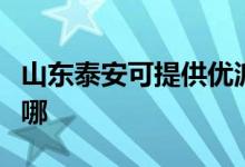 山東泰安可提供優(yōu)派平板電視維修服務地址在哪