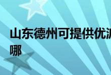 山東德州可提供優(yōu)派平板電視維修服務地址在哪