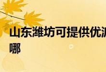 山東濰坊可提供優(yōu)派平板電視維修服務地址在哪