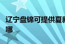 遼寧盤(pán)錦可提供夏新平板電視維修服務(wù)地址在哪