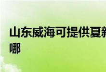 山東威海可提供夏新平板電視維修服務(wù)地址在哪