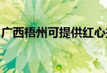 廣西梧州可提供紅心掛燙機維修服務地址在哪