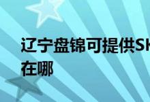 遼寧盤錦可提供SKG健身器材維修服務地址在哪