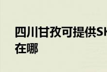 四川甘孜可提供SKG健身器材維修服務地址在哪
