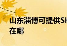 山東淄博可提供SKG健身器材維修服務地址在哪