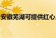 安徽蕪湖可提供紅心足浴盆維修服務地址在哪