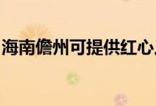 海南儋州可提供紅心足浴盆維修服務地址在哪
