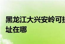 黑龍江大興安嶺可提供紅心足浴盆維修服務地址在哪