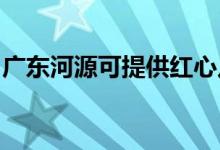 廣東河源可提供紅心足浴盆維修服務地址在哪