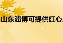 山東淄博可提供紅心足浴盆維修服務地址在哪