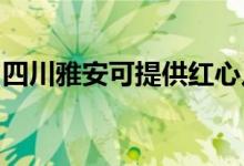 四川雅安可提供紅心足浴盆維修服務地址在哪