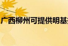 廣西柳州可提供明基投影機維修服務地址在哪