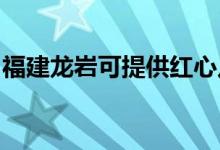 福建龍巖可提供紅心足浴盆維修服務地址在哪