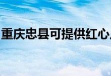 重慶忠縣可提供紅心足浴盆維修服務地址在哪