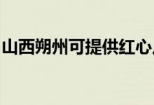山西朔州可提供紅心足浴盆維修服務地址在哪