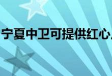 寧夏中衛(wèi)可提供紅心足浴盆維修服務地址在哪