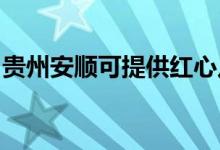 貴州安順可提供紅心足浴盆維修服務地址在哪