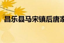 昌樂(lè)縣馬宋鎮(zhèn)后唐家店子幼兒園的地址在哪