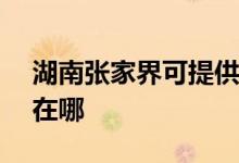 湖南張家界可提供NEC投影機維修服務地址在哪