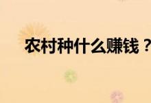 農(nóng)村種什么賺錢？（6個種植賺錢項目）