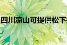 四川涼山可提供松下投影機維修服務地址在哪