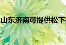 山東濟南可提供松下投影機維修服務地址在哪
