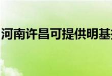 河南許昌可提供明基投影機維修服務地址在哪