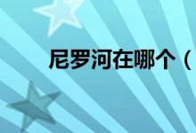尼羅河在哪個(gè)（尼羅河流經(jīng)哪些？）