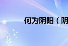 何為陰陽（陰陽到底為何物？）