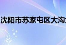 沈陽市蘇家屯區(qū)大溝九年一貫制學(xué)的地址在哪