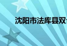 沈陽市法庫縣雙臺(tái)子學(xué)校的地址在哪