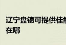 遼寧盤(pán)錦可提供佳能?chē)娔蛴C(jī)維修服務(wù)地址在哪