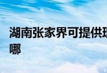 湖南張家界可提供理光復印機維修服務地址在哪