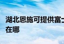 湖北恩施可提供富士施樂(lè)復(fù)印機(jī)維修服務(wù)地址在哪