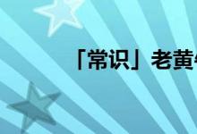 「常識(shí)」老黃牛象征著什么意義