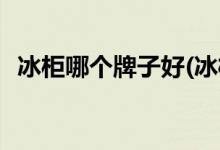 冰柜哪個(gè)牌子好(冰柜怎么選擇性價(jià)比高的)