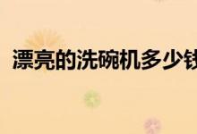 漂亮的洗碗機(jī)多少錢？漂亮的洗碗機(jī)好用嗎