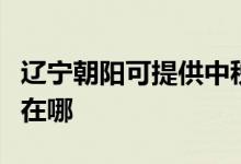 遼寧朝陽可提供中稅針式打印機(jī)維修服務(wù)地址在哪
