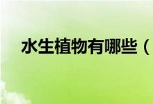 水生植物有哪些（十種常見(jiàn)的水生植物）