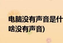 電腦沒有聲音是什么原因(電腦揚聲器100為啥沒有聲音)