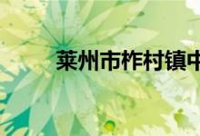 萊州市柞村鎮(zhèn)中心小學的地址在哪