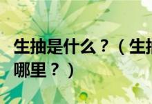 生抽是什么？（生抽、老抽、醬油……區(qū)別在哪里？）