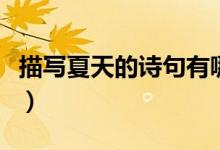 描寫夏天的詩句有哪些（有關夏天的詩句匯總）